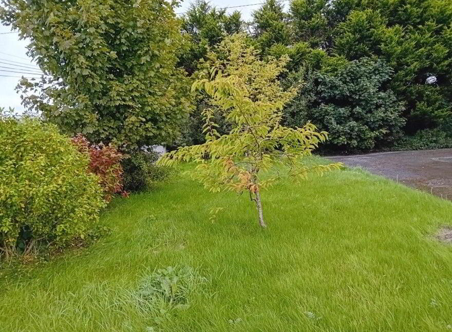 Knockalaghta, Ballintubber, F45X899