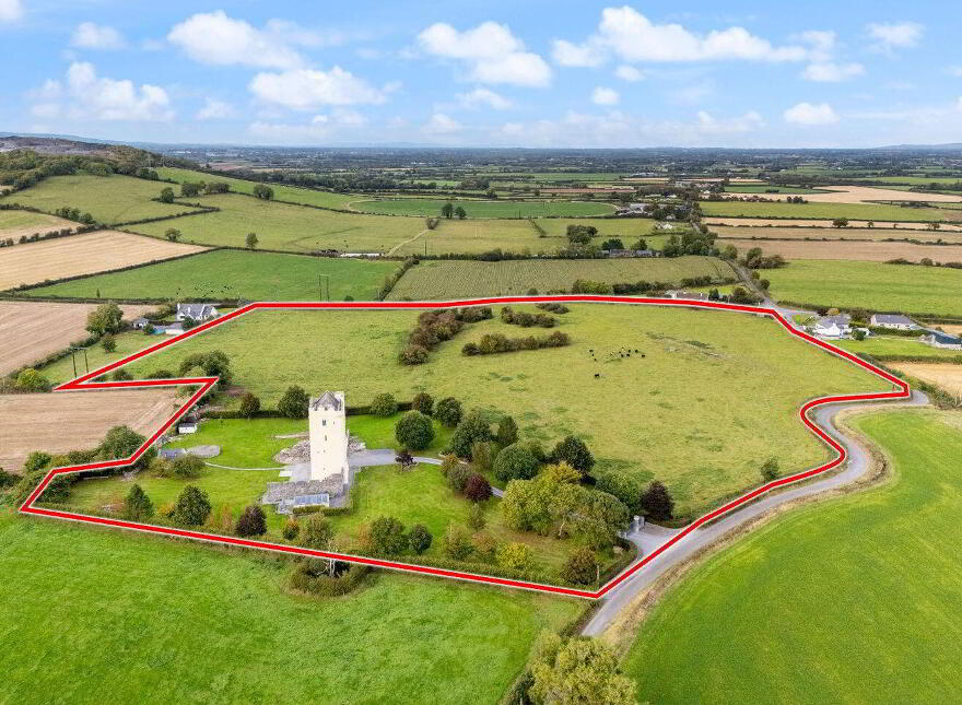 Ballytarsna Castle, Ballytarsna, Horse And Jockey, E25TX39