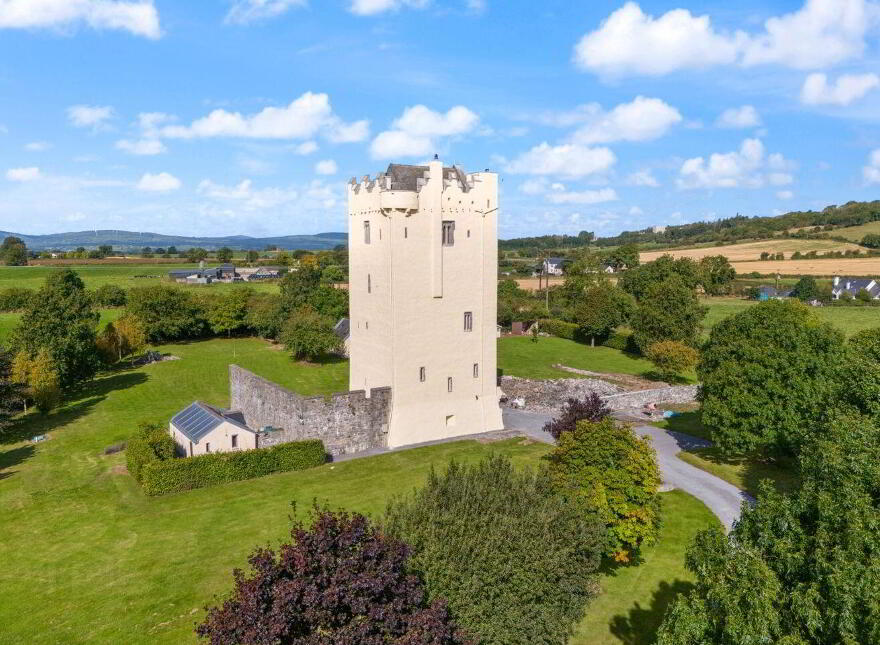 Ballytarsna Castle, Ballytarsna, Horse And Jockey, E25TX39