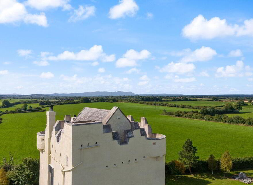 Ballytarsna Castle, Ballytarsna, Horse And Jockey, E25TX39