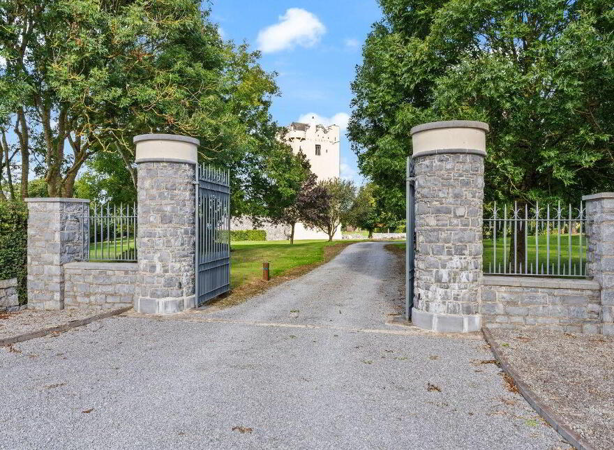 Ballytarsna Castle, Ballytarsna, Horse And Jockey, E25TX39