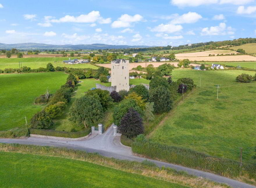 Ballytarsna Castle, Ballytarsna, Horse And Jockey, E25TX39