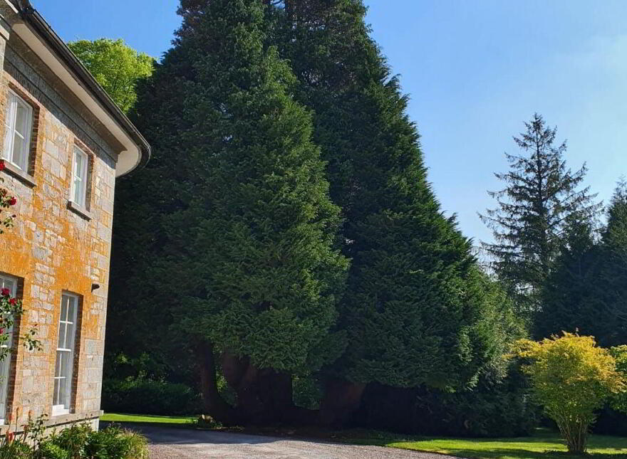 Assolas House, Assolas, Castlemagner, P51T954