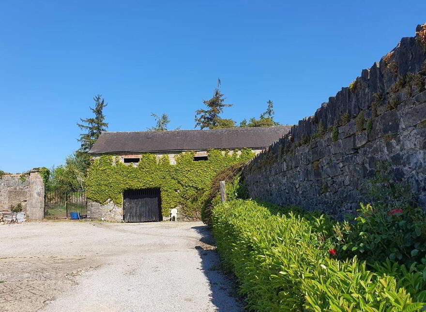 Assolas House, Assolas, Castlemagner, P51T954