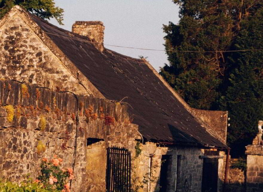 Assolas House, Assolas, Castlemagner, P51T954