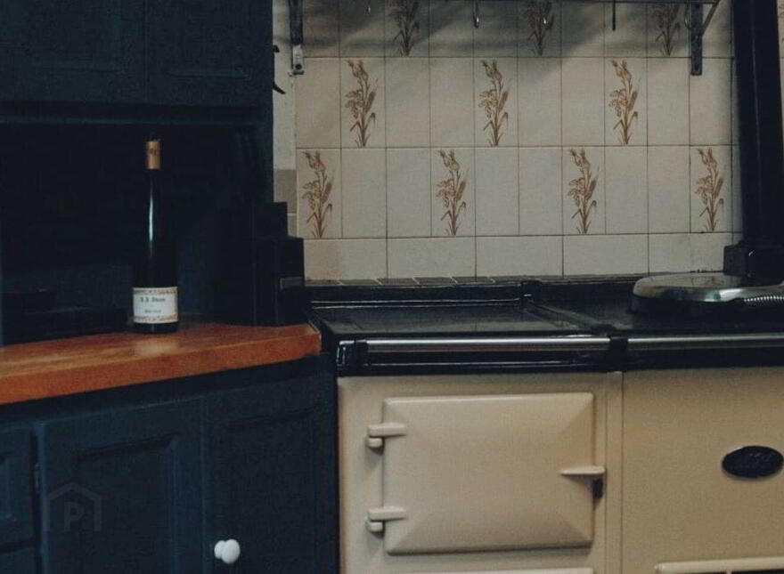 Assolas House, Assolas, Castlemagner, P51T954