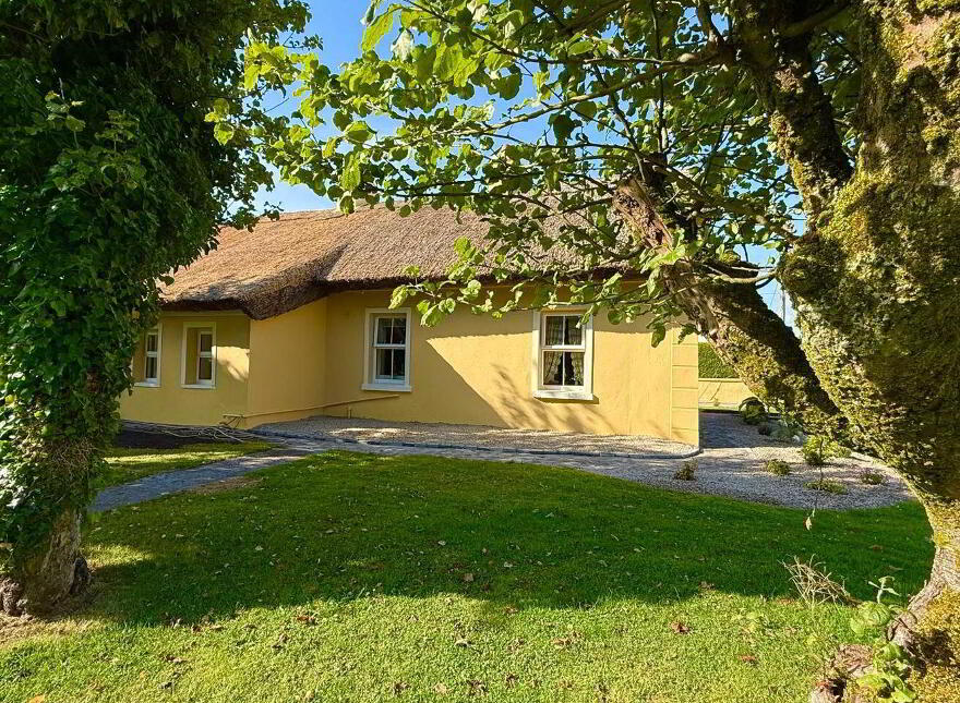 Dalgan, Bunnafollistran, Bunnafollistran, H91T9PA