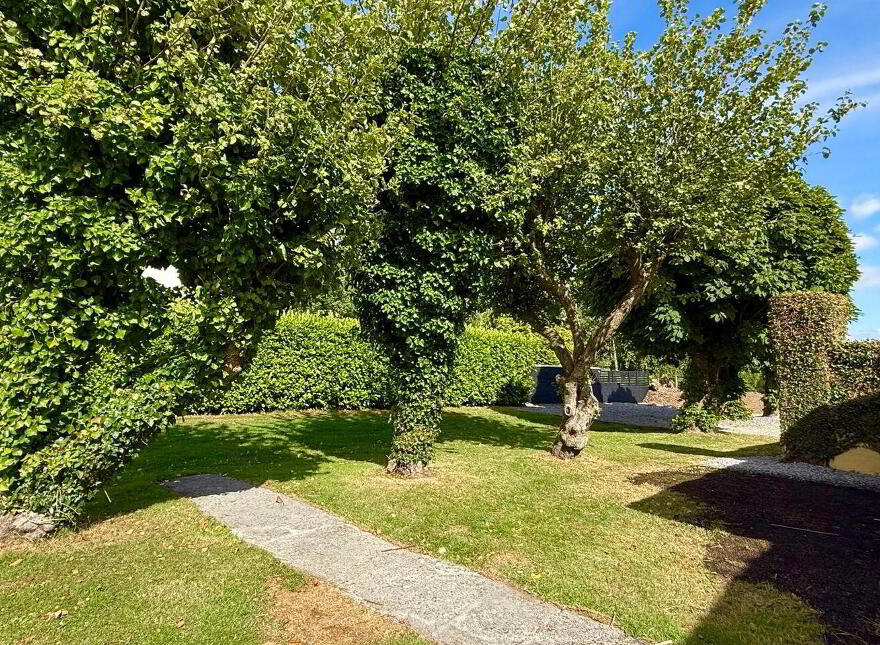 Dalgan, Bunnafollistran, Bunnafollistran, H91T9PA