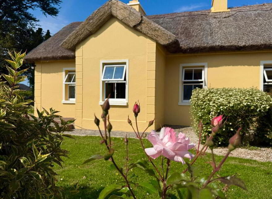 Dalgan, Bunnafollistran, Bunnafollistran, H91T9PA