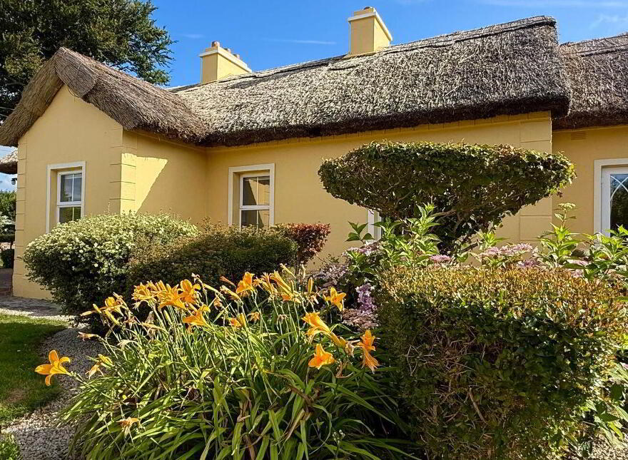 Dalgan, Bunnafollistran, Bunnafollistran, H91T9PA