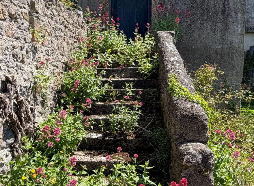 Emmel Castle, Emmel, Cloughjordan