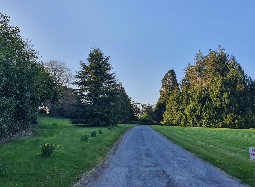 Assolas House, Assolas, Castlemagner, P51T954