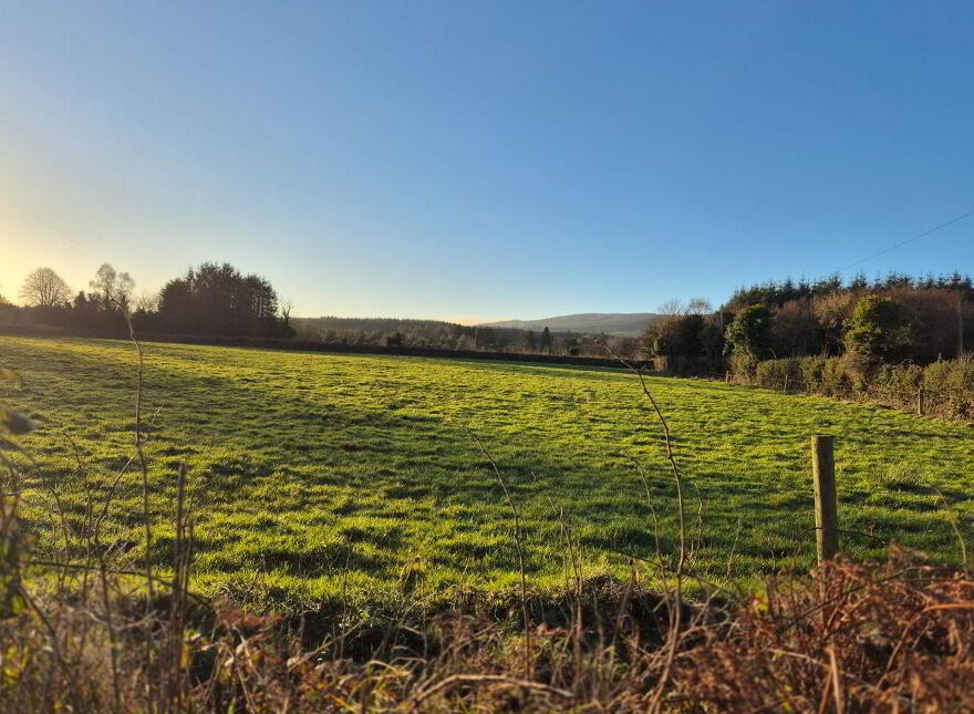 Catholes, Ballyhuppahane photo