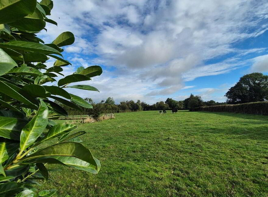 Kilcavan, Geashill, Kilcavan, R35CF53