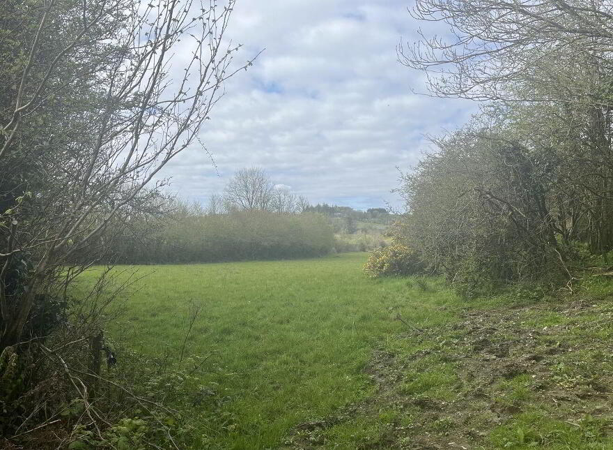 Tullyglass Bandon, Bandon photo