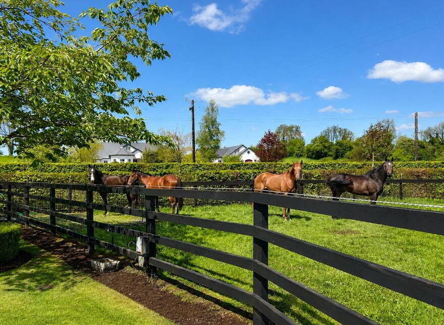 Mullins Cross, Hopestown, Mullingar, N91AK20