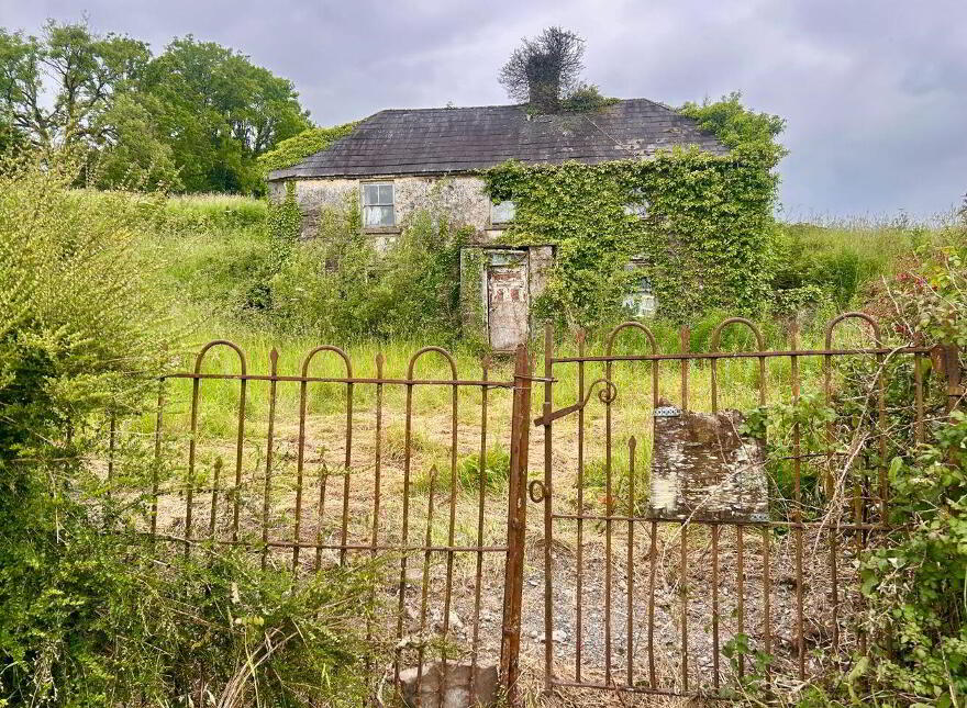 Farrow, Bunbrosna
