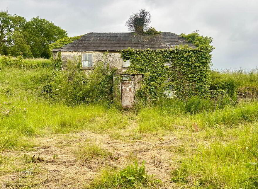 Farrow, Bunbrosna