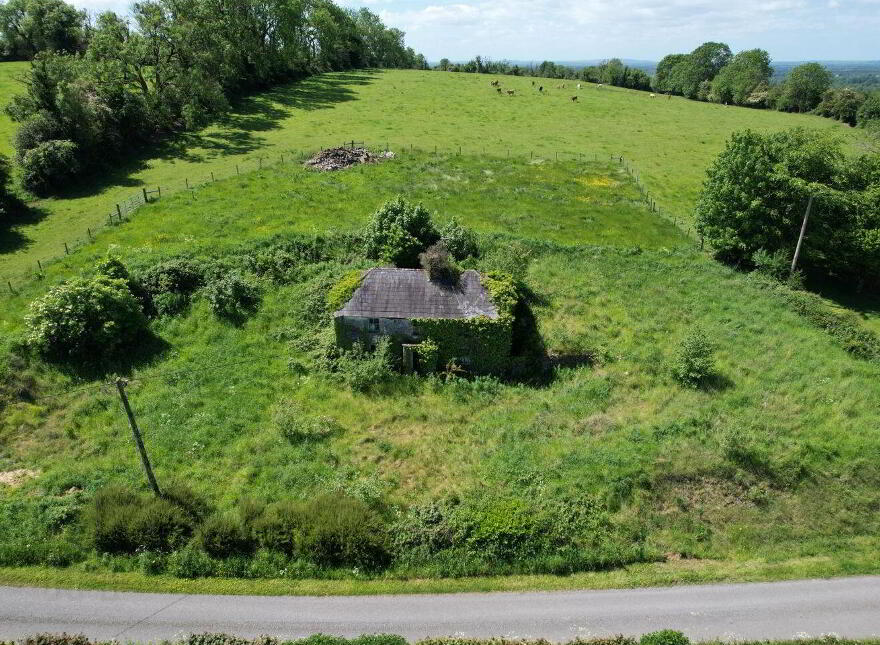 Farrow, Bunbrosna