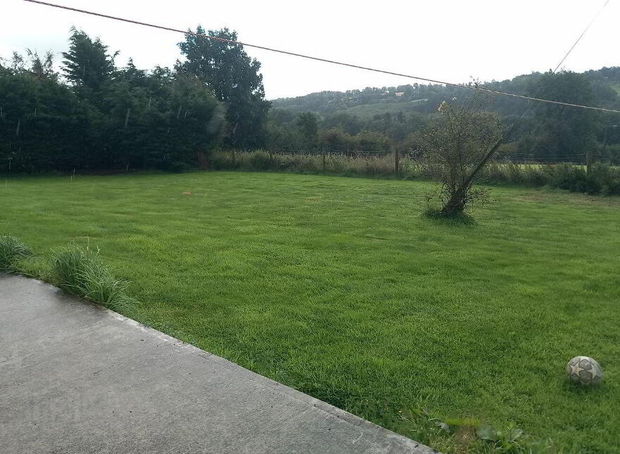 Liscongill, Newmarket, P51T1H7