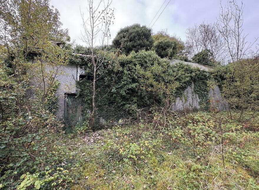 Derynagalliagh, Ballymahon