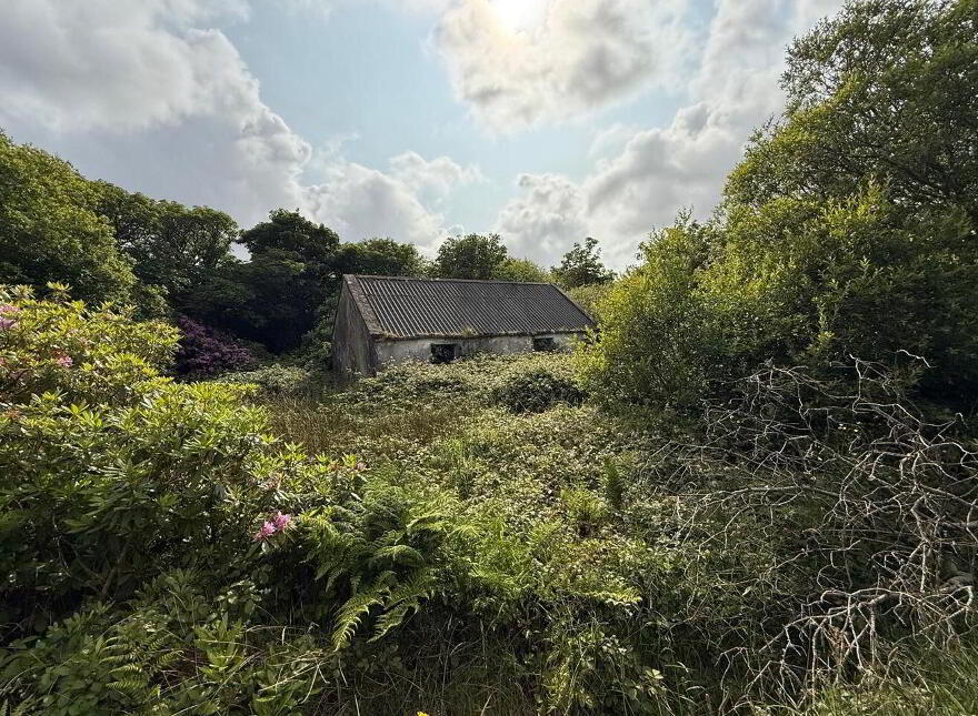 Darrlough, Bangor Erris, Tristia, F26Y5C1