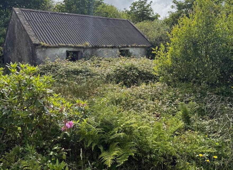 Darrlough, Bangor Erris, Tristia, F26Y5C1