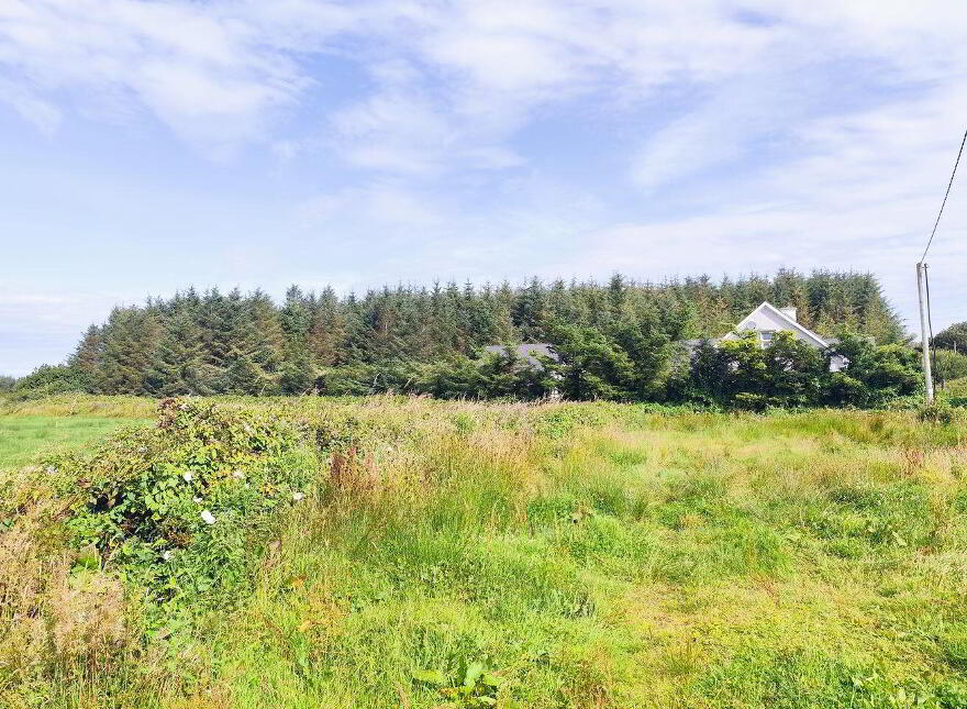 Newtown, Doonbeg, V15V562