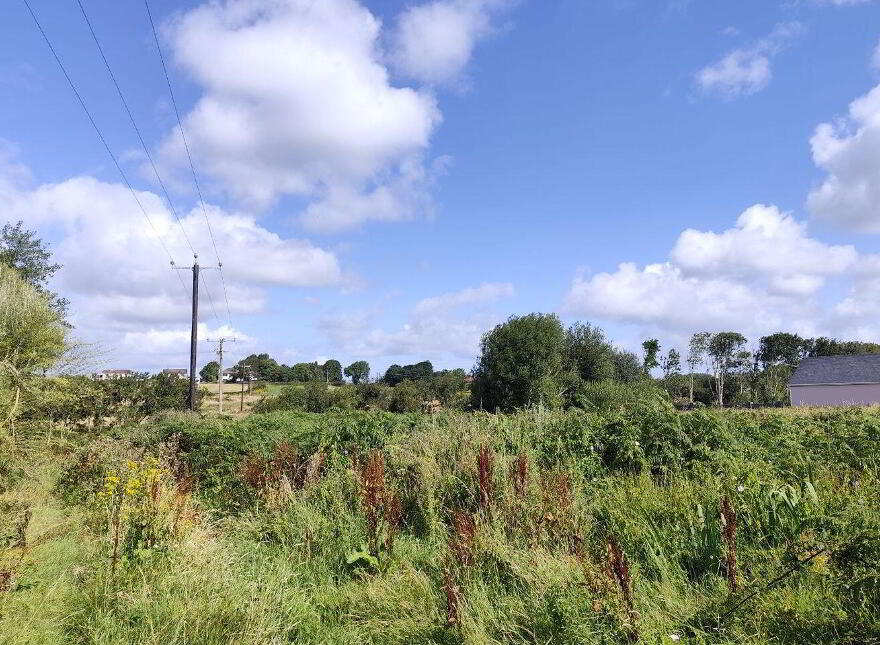 Shellshock Road, Kilrush