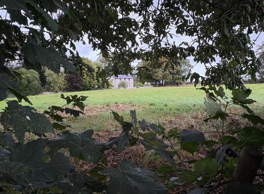 Brideswell, Athlone