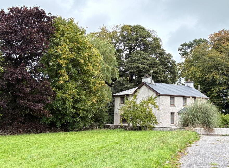 Brideswell, Athlone