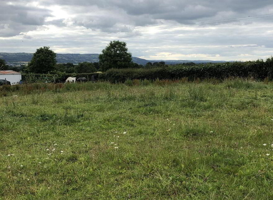 Linkardstown Cross, Tinryland