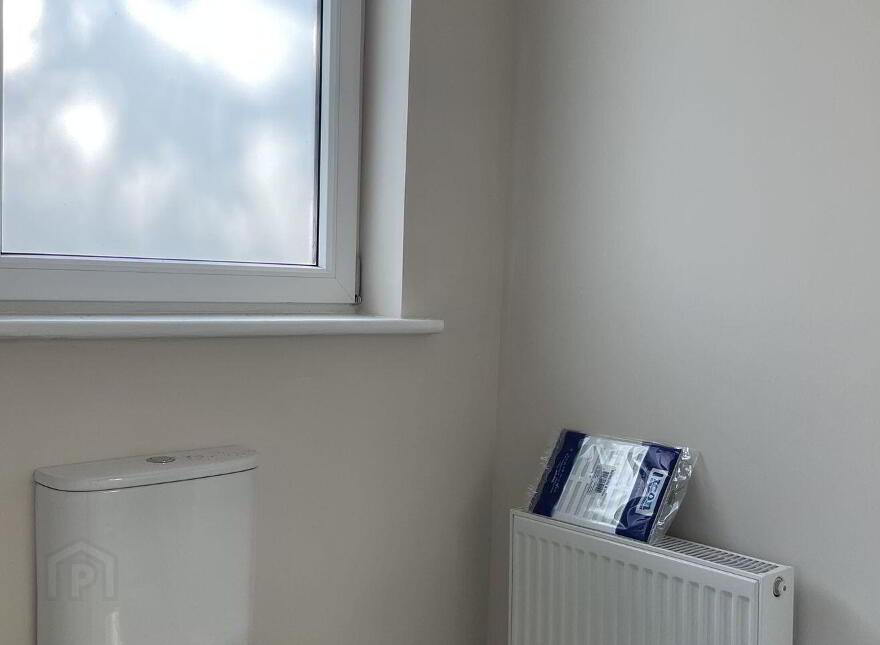 Accommodation Road, Carlow Town