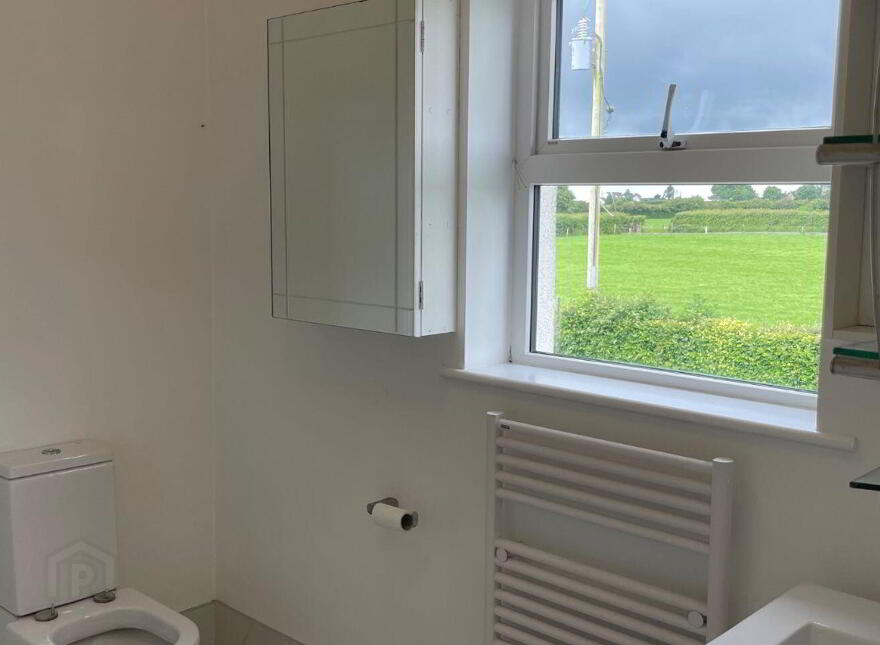 Newtown, Kells, R95EY63