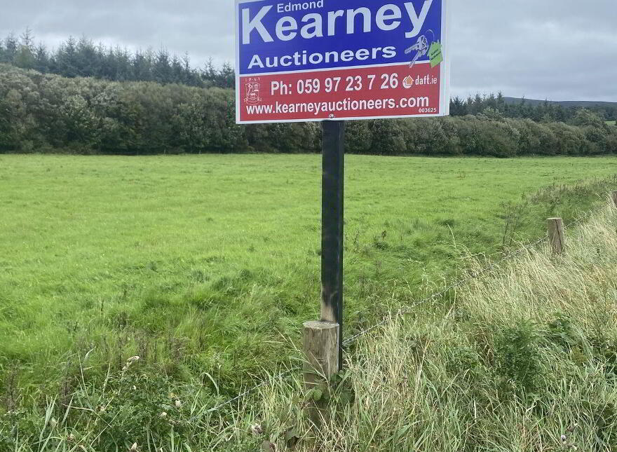 Ballinree, Bagenalstown photo