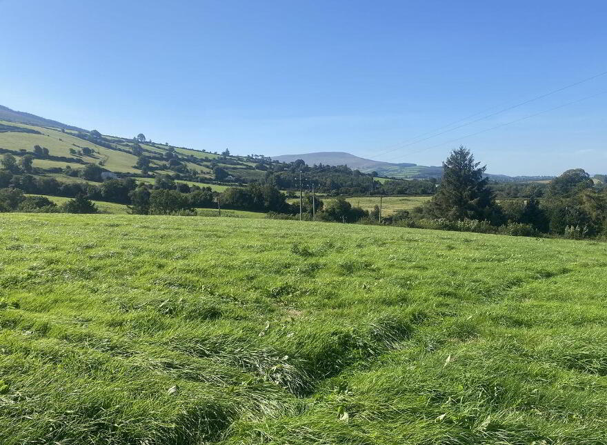 Ballinree, Bagenalstown