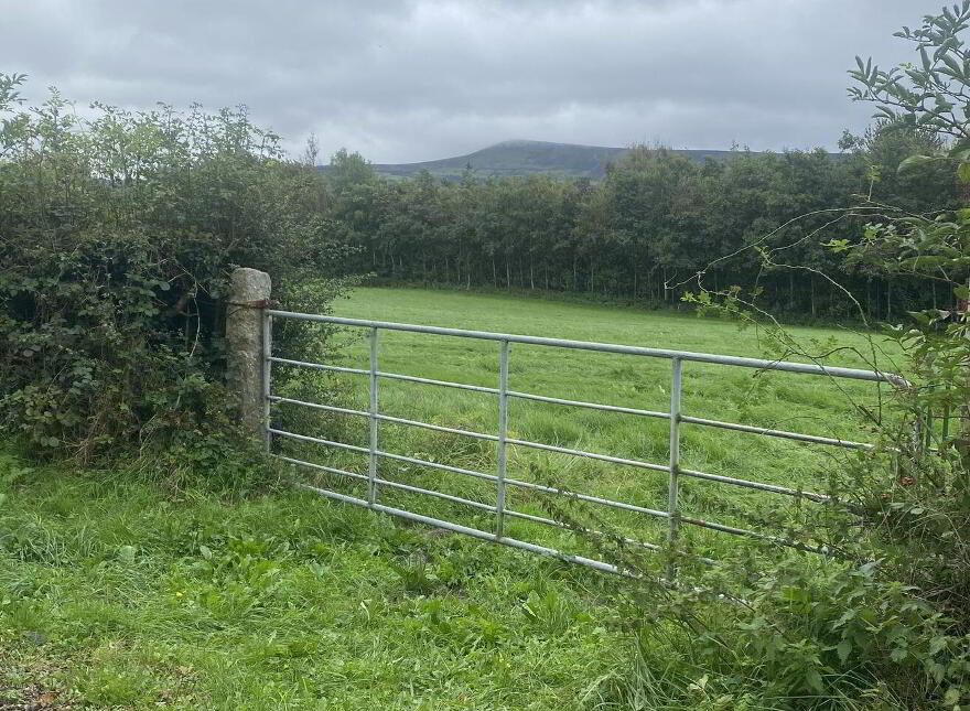 Currinree, Corries, Bagenalstown