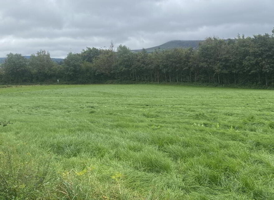 Currinree, Corries, Bagenalstown