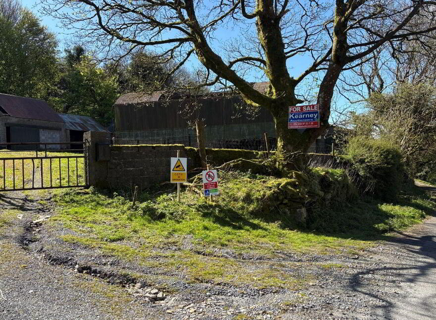 Knockendrane, Borris, R95RW98