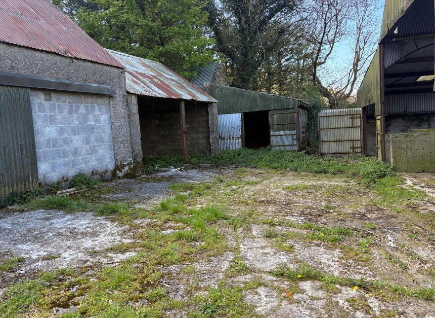 Knockendrane, Borris, R95RW98