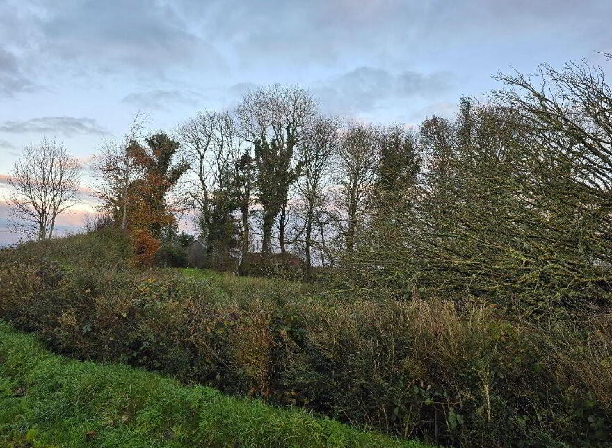 Runnaruag, Elphin, F45DD82