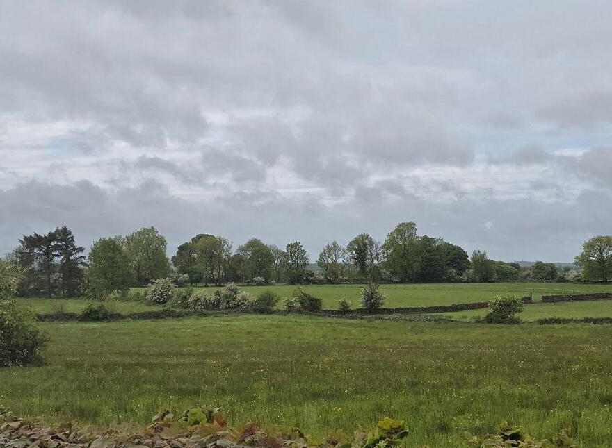 Caldrymoran, Elphin, F45D592