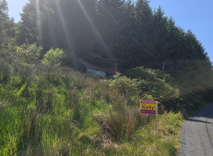 Glen, Arigna