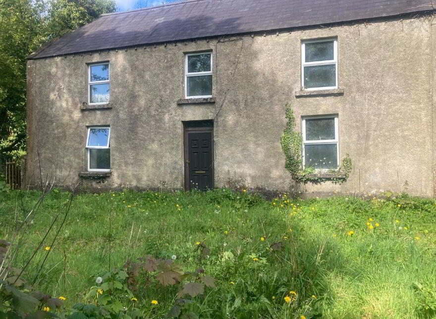 Ballybane, Ballinlough, F45D344