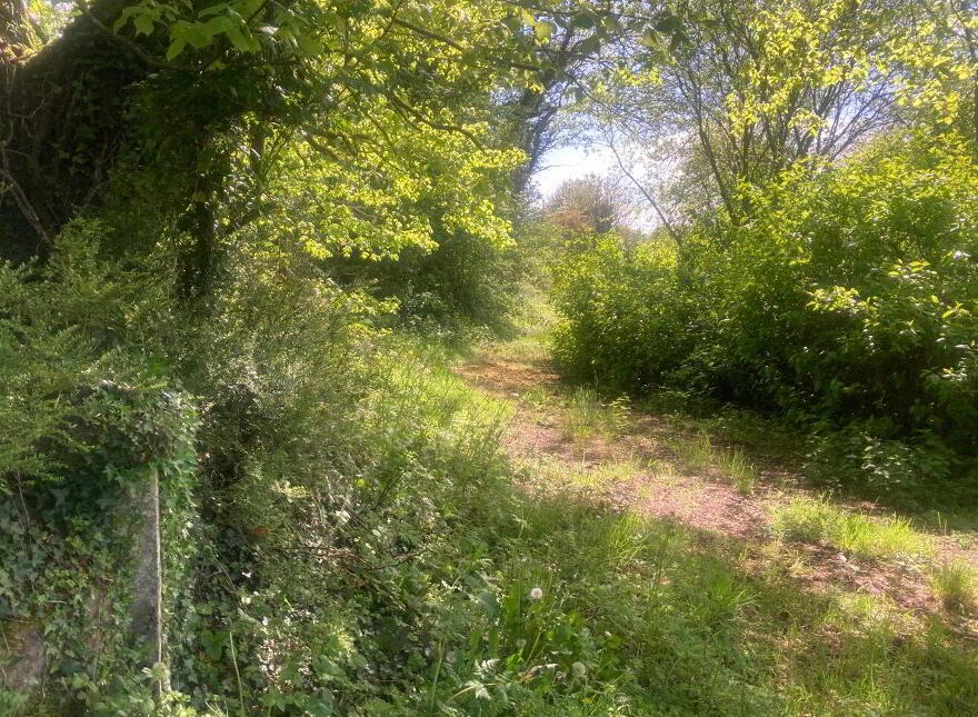 Ballybane, Ballinlough, F45D344