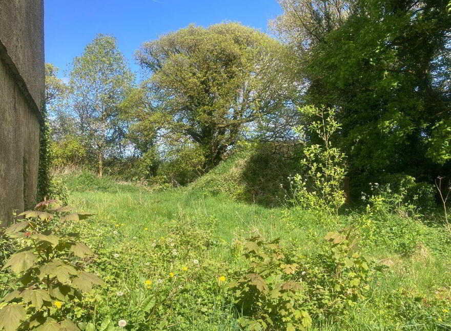 Ballybane, Ballinlough, F45D344