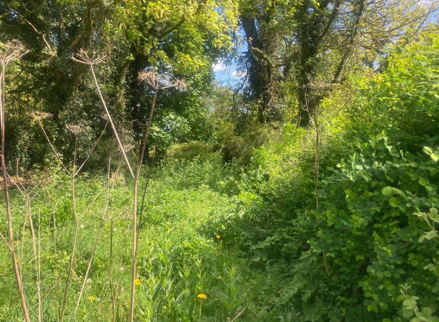 Ballybane, Ballinlough, F45D344