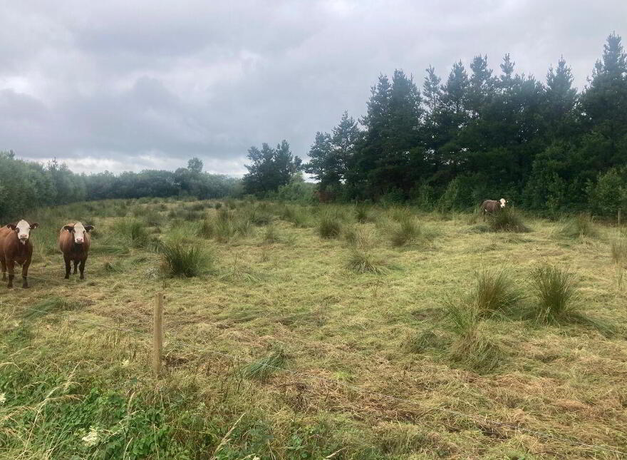 Loughlynn Community Centre, Loughglynn, F45PC82