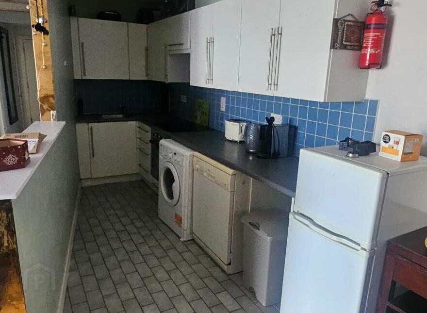 Apartment 50 Lock Mills, Grove Island, Corbally, V94X728