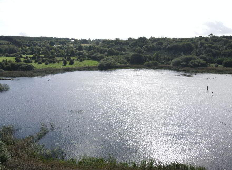 Drumaleague, Kilclare, Keshcarrigan, N41T6P4